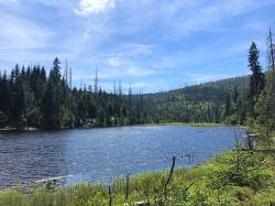 Der Lakasee ist einer von fünf Gletscherseen im Nationalpark Šumava. (Foto: Sandra Schrönghammer)