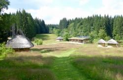 Rund um das Wildniscamp führt die Tour am Samstag, 23. Juli. (Foto: Nationalpark Bayerischer Wald)