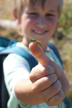 Kinder können in der wilden Natur des Nationalparks spannende Entdeckungen machen. (Foto: Nationalparkverwaltung Bayerischer Wald ¬  –  Freigabe nur in Verbindung mit dem Veranstaltungshinweis)