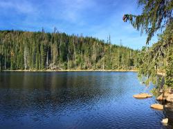 Der Stubenbacher See ist Ziel der Radtour am 31. Juli. (Foto: Nationalpark Bayerischer Wald ­  –  Freigabe nur in Verbindung mit dem Veranstaltungshinweis)