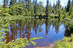 An der Hirschbachschwelle vorbei führt die Tageswanderung am 21. August. (Foto: Nationalpark Bayerischer Wald)