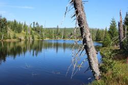 Die Wanderung am Sonntag, 28. August, führt auch an der idyllischen Reschbachklause vorbei. (Foto: Karl Klostermann)