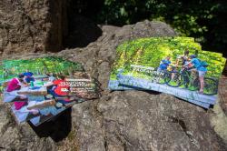 Erstmals können Nationalparkbesucher bei der Befragung auch bequem von zu Hause aus mitmachen. Ein QR-Code auf der Rückseite der Flyer führt zu einem Online-Fragebogen. (Foto: Nationalparkverwaltung Bayerischer Wald)