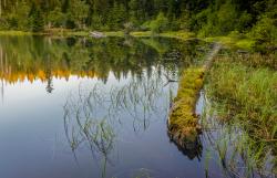 Auf 1096 Meter unterhalb des Lackenbergs liegt der alte Gletschersee, Lakasee. (Foto: Steffen Krieger)