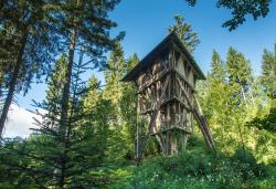 Nicht nur Besichtigungen der Hütten des Wildniscamps sind beim Tag der offenen Tür geboten, auch Mitmachaktionen stehen auf dem Programm. (Foto: Anita Hummel)