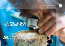 Die neue Broschüre gibt Einblicke in die Forschung im Nationalpark Bayerischer Wald - und das in einer für jedermann verständlichen Sprache.