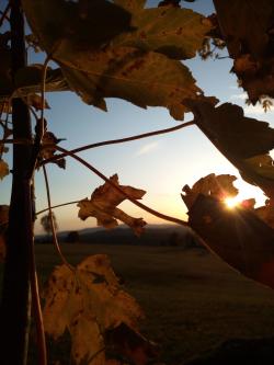 „Wenn die Sonne sinkt – Abendstille“ lautet der Titel der leichten Wanderung am 1. Oktober. (Foto: Ruth Goldhahn)