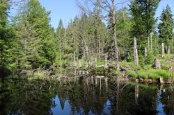 Die Steinbachklause ist ein Ziel der Tagewanderung am 9. Oktober. (Foto: Nationalpark Bayerischer Wald)