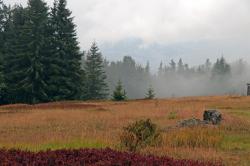 Die nächste Schachtenpflege findet im September 2023 statt. Foto: Nationalpark Bayerischer Wald