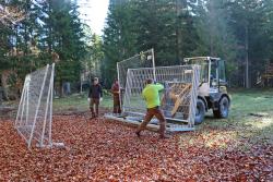 Das Team vom Servicezentrum Lusen baute diese Woche den Trennzaun im knapp sieben Hektar großen Rothirsch-Gehege ab.