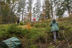 Bei der Pflegeaktion im Oberen Reschbachtal bekamen die Nationalparkmitarbeiter Unterstützung von der Katholischen Landvolkbewegung der Diözese Passau. (Foto: Nationalpark Bayerischer Wald)