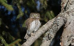 Die verschiedenen Tierarten und ihre Lebensräume sind Thema der Führung am Samstag, 5. November.  (Foto: Christoph Moning)