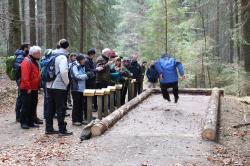 Wie weit kann ein Luchs springen? Dies können die Teilnehmer der Waldführerausbildung bei den Blockseminaren selbst herausfinden, und zwar bei der Erkundung des Waldspielgeländes bei Spiegelau. (Foto: Nationalpark Bayerischer Wald)