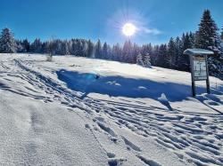 Über den Ruckowitzschachten führt die Schneeschuwanderung am Sonntag, 1. Januar. (Foto: Nationalpark Bayerischer Wald)