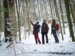 Waldführer im Winterwald.