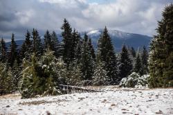 Der Ruckowitzschachten ist ein Ziel der geführten Wanderung am Sonntag, 29. Januar. (Foto: Jo Fröhlich/Nationalpark Bayerischer Wald)