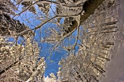 Im Winter ist die Höllbachschlucht ein ganz besonderes Erlebnis. (Foto: Nationalpark Bayerischer Wald)