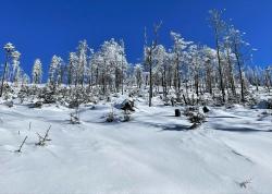 Am Sonntag, 12. Februar, wird für alle Interessierten eine geführte Schachtenwanderung mit Schneeschuhen angeboten. (Foto: Nationalpark Bayerischer Wald)