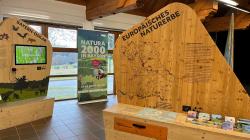 Warum ist es wichtig, Bayerns Naturerbe zu schützen? Antworten darauf gibt es in der Wanderausstellung „Ganz meine Natur“. (Foto: Nationalpark Bayerischer Wald)