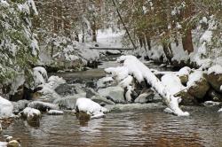 Wissenswertes über Schnee und den Wasserkreislauf gibt es bei einer Führung am Samstag, 25. Februar. (Foto: Nationalpark Bayerischer Wald)