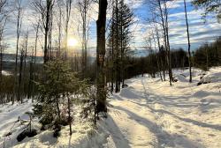 Über den Wanderweg Kreuzspinne führt die Tour am Sonntag, 26. Februar, auf den Lindberger Schachten und in die Gruft. (Foto: Nationalpark Bayerischer Wald)