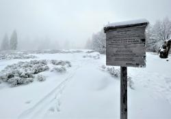 Der Jährlingsschachten ist Ziel der geführten Wanderung am Sonntag, 5. März. (Foto: Nationalpark Bayerischer Wald)