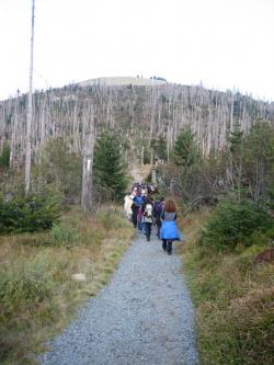 Auf den Lusen führt die ökumenische Emmauswanderung am Ostermontag. (Foto: Gabriela Neuman-Beiler/Nationalpark Bayerischer Wald)