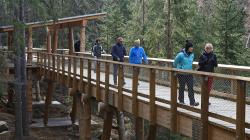 Eine Holzbrücke führt durch das Wolfsgehege des Nationalparks Šumava. (Foto: Štěphán Rosenkranz)