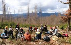 Bei verschiedenen Workshops und Exkursionen beschäftigten sich die Commerzbank-Umweltpraktikanten zum Beispiel mit den Themen Kunst und Natur. (Foto: Nationalpark Bayerischer Wald)