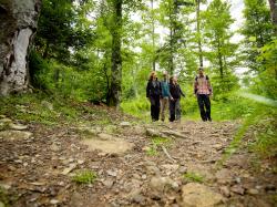 Besucher des Nationalparks werden heuer verstärkt gezählt. (Foto: Nationalpark Bayerischer Wald)