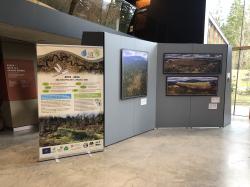 „Renaturierung aus der Vogelperspektive“ lautet der Titel der Ausstellung, bei der Drohnenaufnahmen von Radek Plíhal zu sehen sind. (Foto: Nationalpark Bayerischer Wald)
