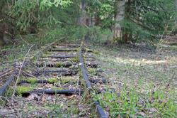 Im Bereich Finsterau sind noch Teile der Gleise der früheren Waldbahn zu sehen. (Foto: Nationalpark Bayerischer Wald)