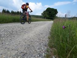 Am 14. Mai geht es bei der grenzüberschreitenden Radtour in den Nationalpark Šumava. (Foto: Nationalpark Bayerischer Wald)