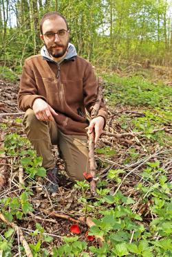 Andreas Denzel entdeckte die markant leuchtenden Fruchtkörper in einem ursprünglichen Habitat mit viel Laubtotholz. (Fotos: Nationalpark Bayerischer Wald)