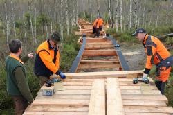 Die Mitarbeiter des Nationalparks sind gerade dabei, den barrierearmen Bohlensteg durch das Finsterauer Filz zu errichten. (Foto: Nationalpark Bayerischer Wald)