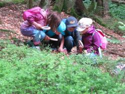 Den Wald mit allen Sinnen spüren können die Kinder beim Programm des Nationalparks in den Pfingstferien. (Foto: Nationalpark Bayerischer Wald)