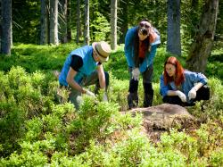 Die Bedeutung von Totholz und Kadavern erfahren die Teilnehmer bei einer Führung am Samstag, 27. Mai. (Foto: Nationalpark Bayerischer Wald)