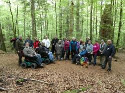 Mit geländegängigen Rollstühlen konnten die Teilnehmer am Seminar des Aphasie Landesverbandes die Nationalpark-Natur rund um das Wildniscamp entdecken. (Foto: Gaby Auer)