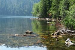 Der idyllische schwarze See ist ein Ziel der grenzüberschreitenden Wanderung am Sonntag, 28. Mai. (Foto: Claus Wietek/Nationalpark Bayerischer Wald)