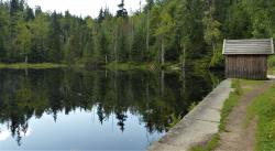 Bei einer Wanderung am 17. Juni wird unter anderem geklärt, warum die Martinsklause so heißt. (Foto: Nationalpark Bayerischer Wald)