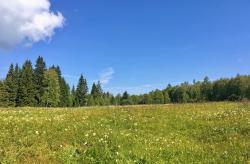 Durch das Tal der Křemelná führt die Radtour am Sonntag, 2. Juli. (Foto: Nationalpark Bayerischer Wald)