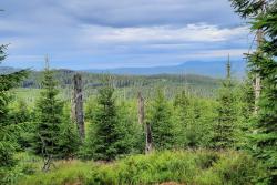 Auf der Tour bieten sich herrliche Ausblicke in den Nationalpark Šumava. (Foto: Nationalpark Bayerischer Wald)