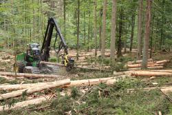 Im Nationalpark-Randbereich kommen aktuell vier Debarking Harvester zum Einsatz, die Fichten nicht nur umschneiden, sondern im selben Schritt auch gleich entrinden. (Fotos: Nationalpark Bayerischer Wald)