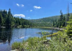 Die grenzüberschreitende Wanderung am 23. Juli führt zum Lakasee, einem alten, auf 1096 Höhenmeter gelegen, Gletschersee. (Foto: Nationalpark Bayerischer Wald)