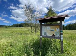 Bei der grenzüberschreitenden Radtour am Sonntag, 30. Juli, kommen die Teilnehmer auch an Nový Brunst vorbei. (Foto: Nationalpark Bayerischer Wald)