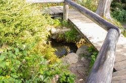 An der Moldauquelle vorbei führt die grenzüberschreitende Wanderung am Sonntag, 30. Juli. (Foto: Nationalpark Bayerischer Wald)