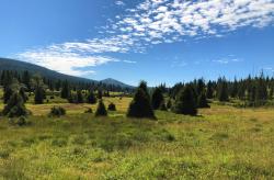 Durch das Lusental radeln die Teilnehmer der grenzüberschreitenden Tour am 6. August. (Foto: Peter Auerbeck / Nationalpark Bayerischer Wald)