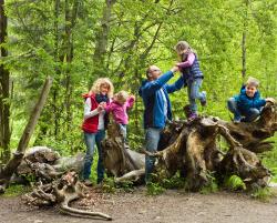 Schöne Stunden erleben sollen die Teilnehmer bei der Familienführung am Sonntag, 12. August. (Foto: Nationalpark Bayerischer Wald)
