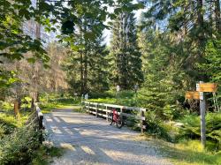 Den Grenzübergang Ferdinandsthal passiert die Gruppe bei der Radtour am 13. August. (Foto: Nationalpark Bayerischer Wald)