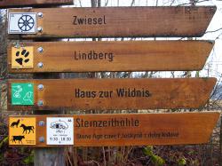 Der Rundweg "Wildtiere" muss für zirka zwei Wochen umgeleitet werden, die Gehege, das Haus zur Wildnis und die Steinzeithöhle sind alle erreichbar. (Foto: Nationalpark Bayerischer Wald) 